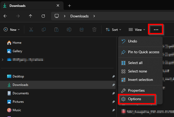 Open Options in Explorer